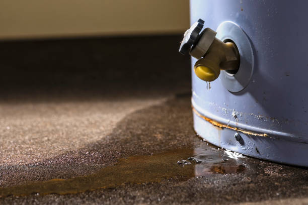 Best Ceiling water damage repair  in Seminole, TX