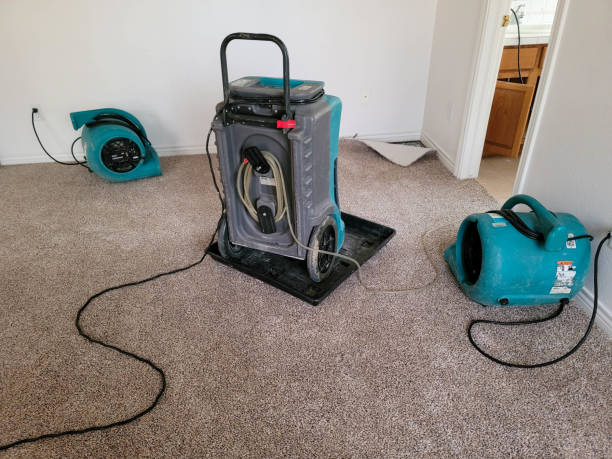 Water damage restoration mold remediation in Seminole, TX