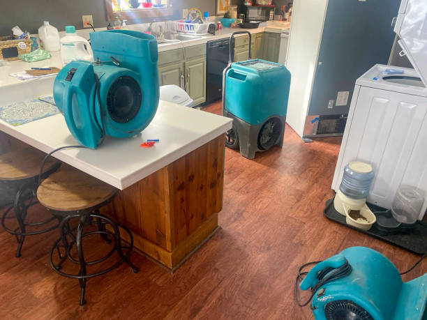 Best Sewage cleanup and water damage restoration  in Seminole, TX