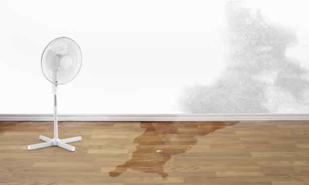 Reliable Seminole, TX Water damage restoration Solutions