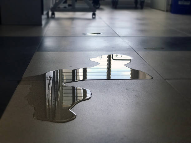 Best Carpet water damage restoration  in Seminole, TX