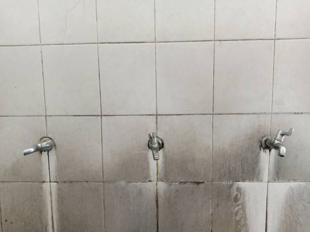 Best Flood restoration services  in Seminole, TX