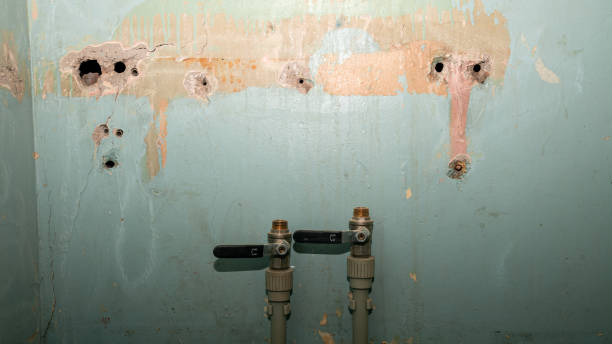Best Water damage contractors near me  in Seminole, TX