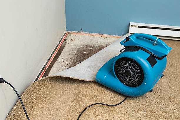 Best 24-hour water damage restoration  in Seminole, TX